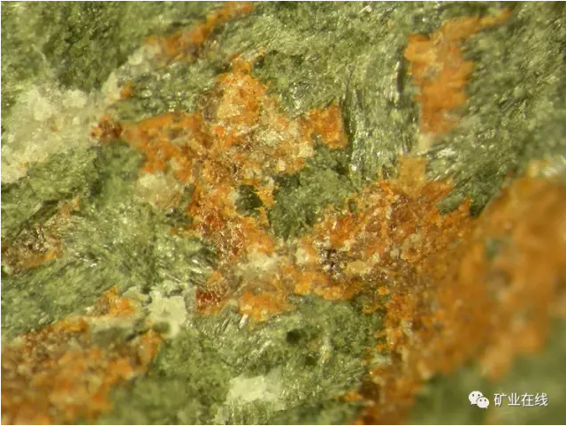 b1095ebbe78b74ca5a79102fad09a992.png 13.png