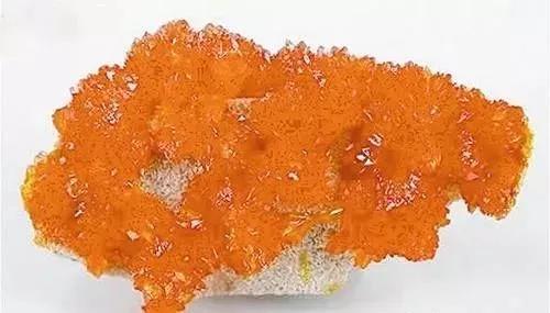 fb11656d288e4e35819eaae6aa8eed36.jpg 7.jpg