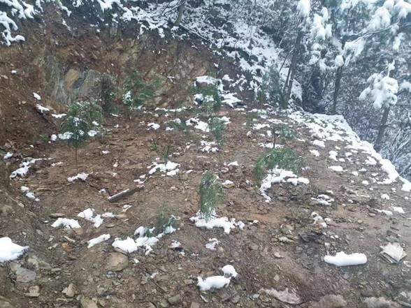 22949634423e2b019daa7d4567b012c0.jpg image002.jpg